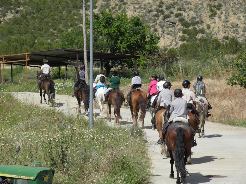 Pensión Rural Txapi Txuri Logis 3*