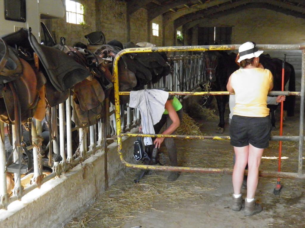 Rural Txapi Txuri Logis